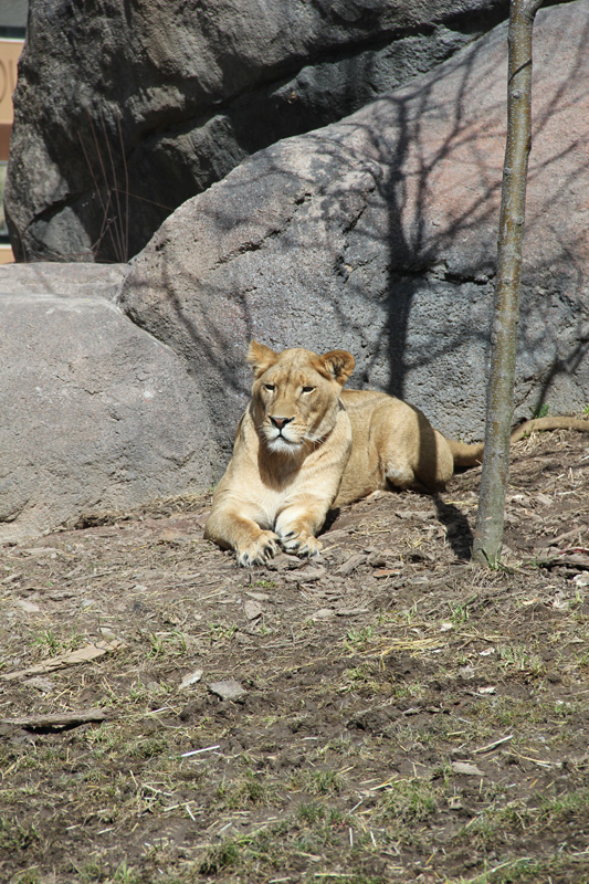 slideshow